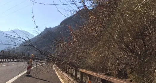 Perde un tubo, chiusa la corsia sud A22