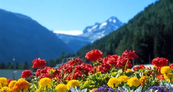 Settimana primaverile in Alto Adige