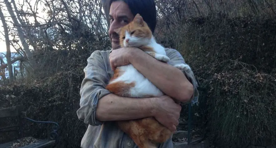 Il gattaro amico dei randagi