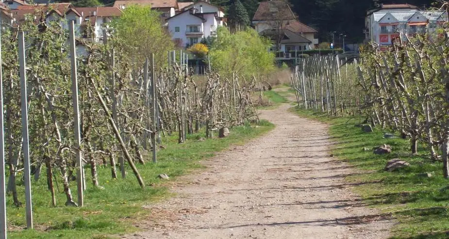 Pista per pedoni e ciclisti tra Pineta e la zona Galizia