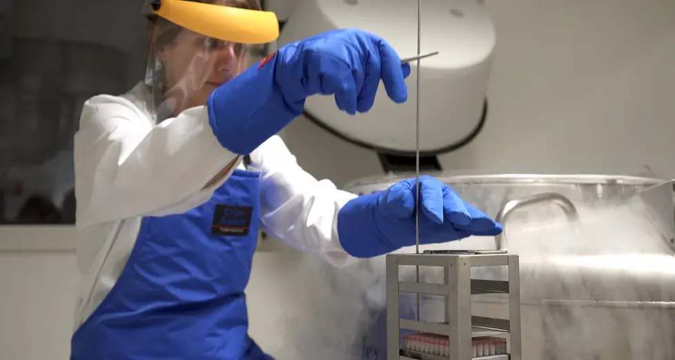 Parkinson, l’Eurac scopre proteina “proteggi cellule”