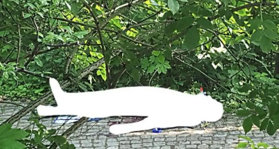 Trendy e multietnico l’ex rione dell’Est dove passava il muro
