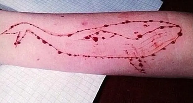Blue Whale, in Bassa Atesina la prima denuncia