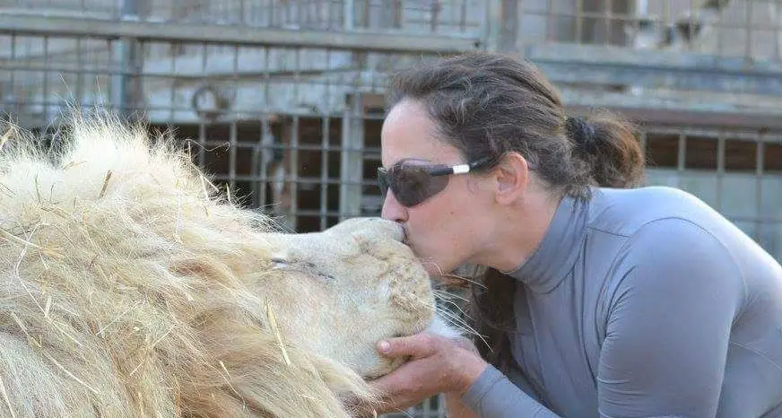 Egna, il circo di Mosca replica alla Lav: «Amiamo i nostri animali»