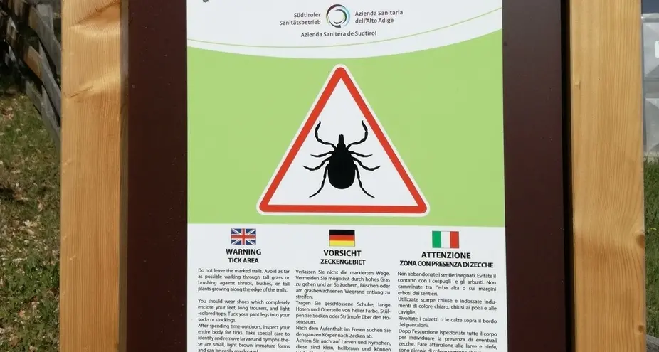 È allarme zecche, già 2 casi di encefalite