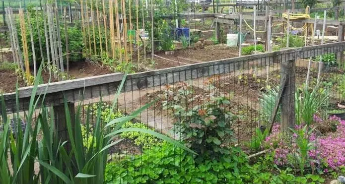 Bolzano, via libera ad ottanta orti per gli anziani