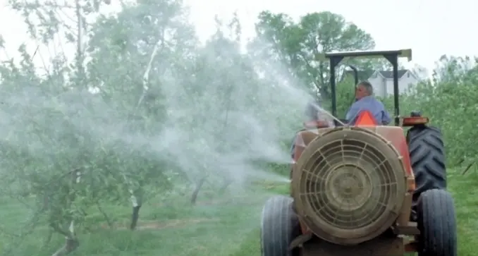 Pesticidi: bocciato il ricorso