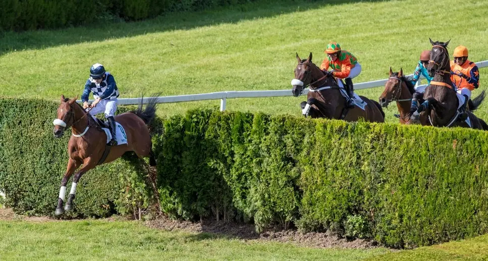 Maia impero francese: domina Macaire