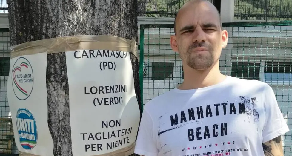 Raccolta firme per salvare 13 alberi sani