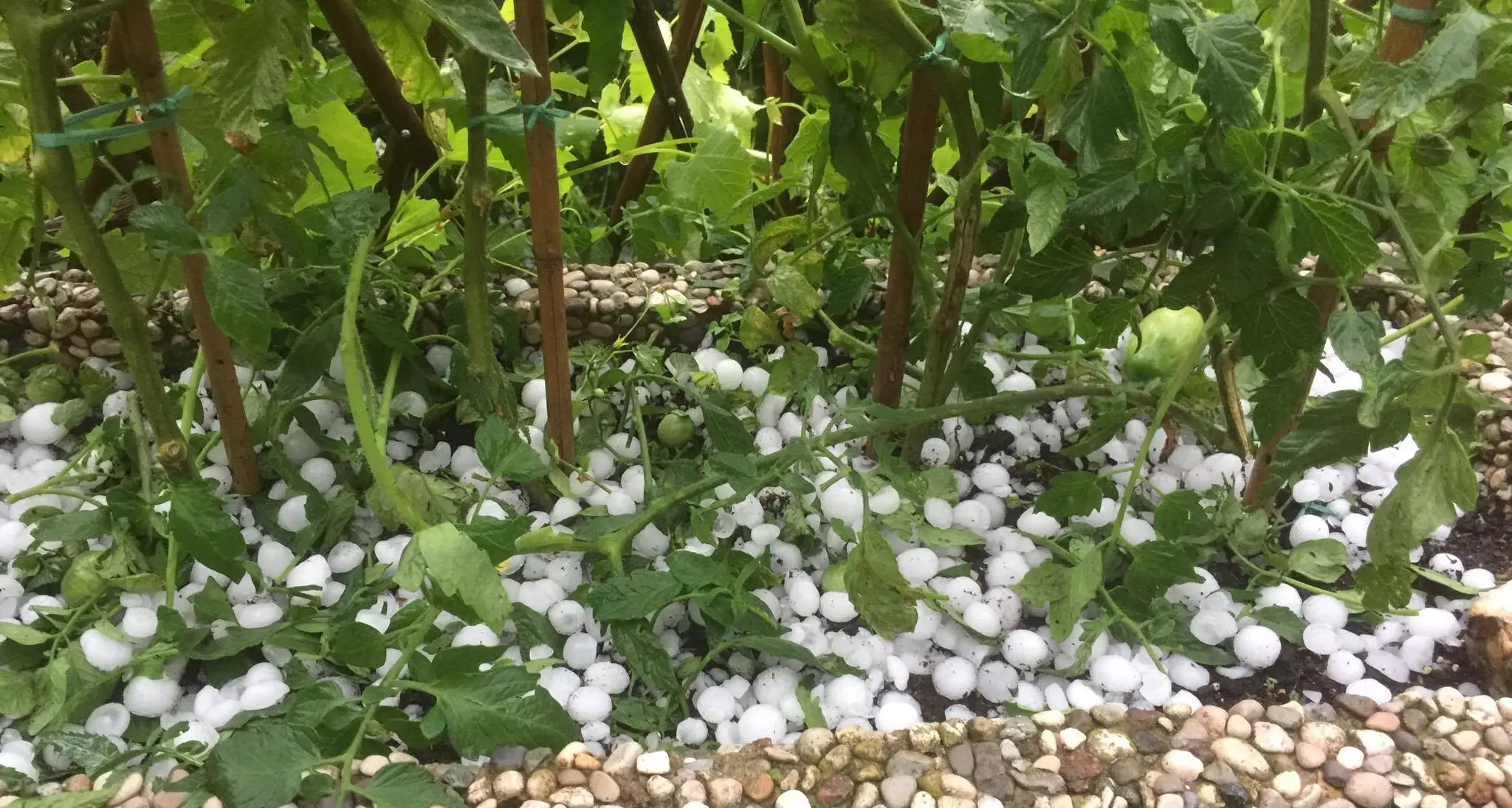 Violenta grandinata in Alto Adige