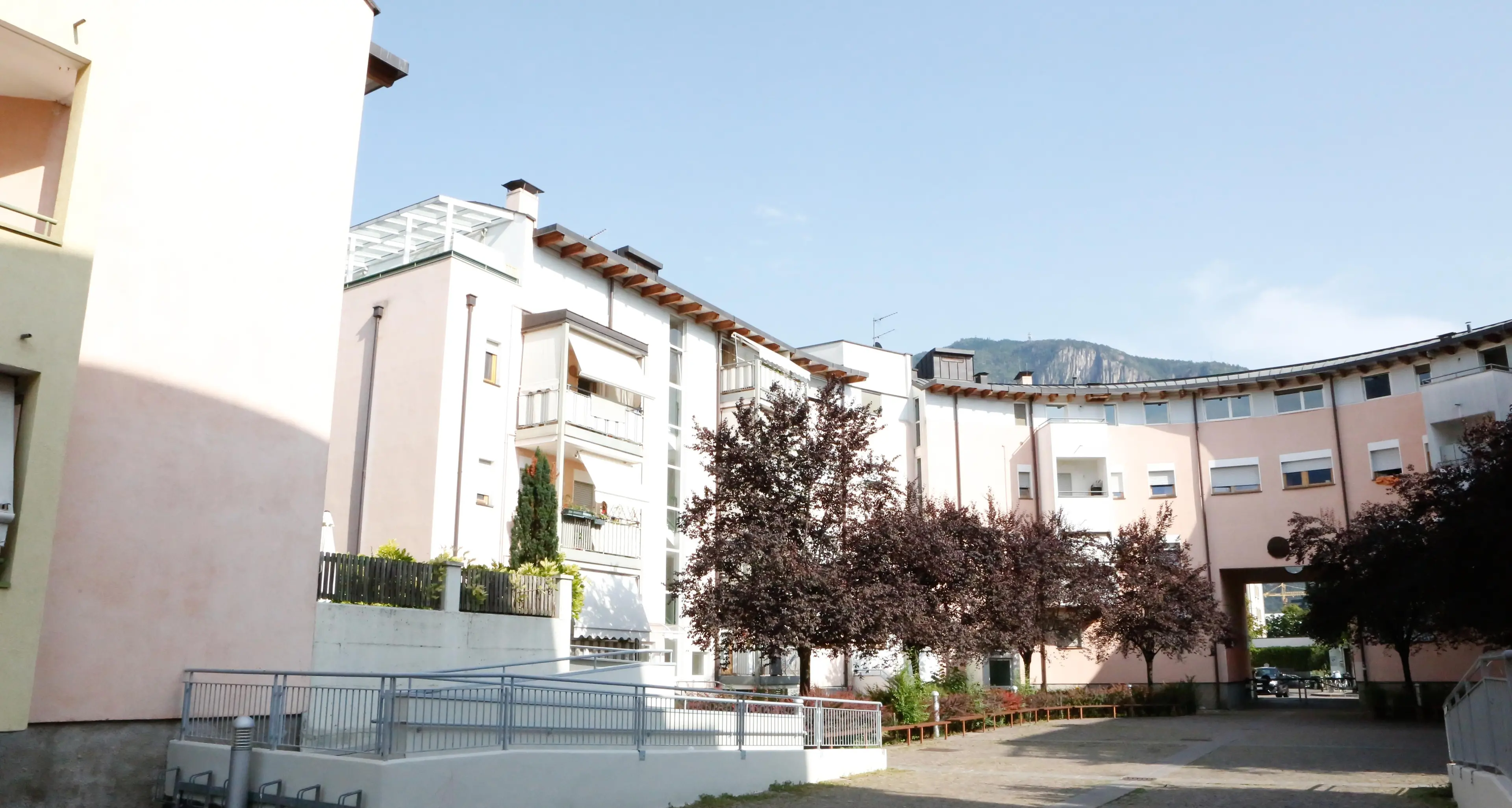 Bolzano, zanzara tigre a Don Bosco, stop alla bonifica