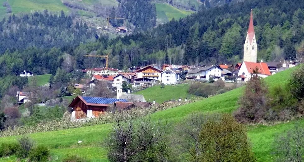 Dodici aree boschive da trasformare in campi e pascoli