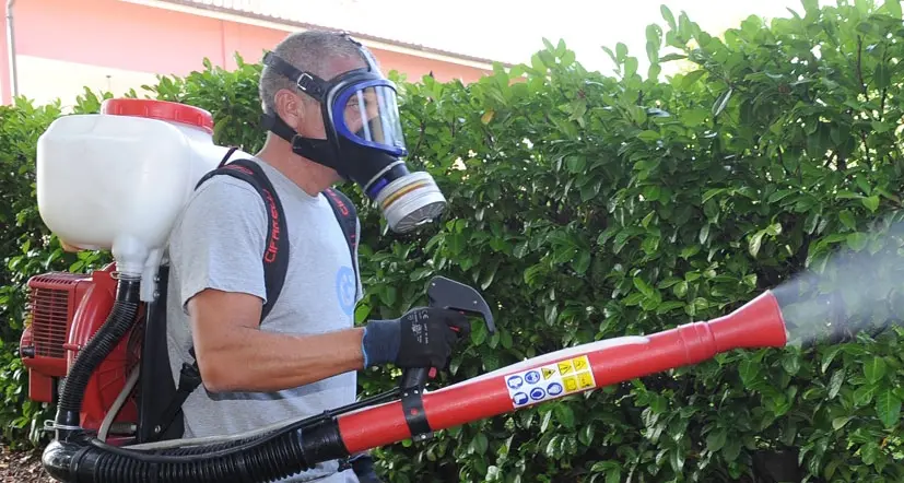Zanzara tigre, a Bolzano la disinfestazione tocca agli amministatori