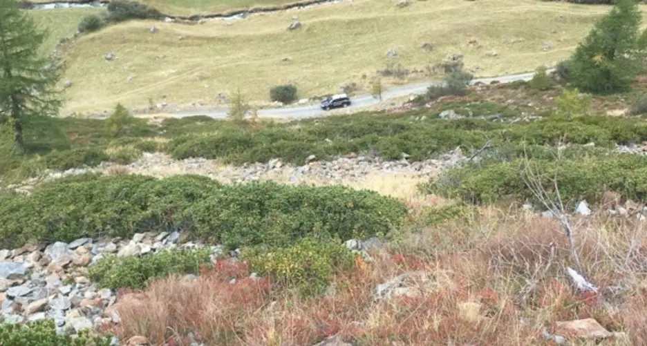 Va a raccogliere mirtilli e si imbatte in una bomba