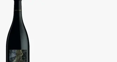 Pivier, un caldo Merlot firmato Cesconi