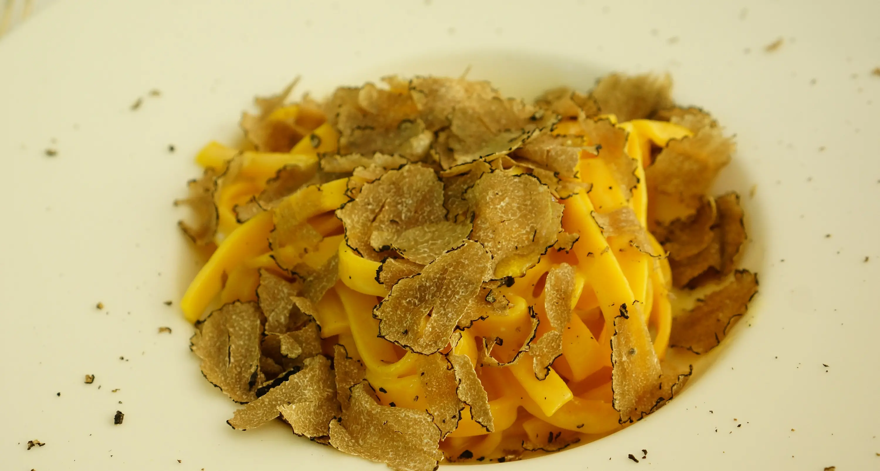 Col tartufo nero estivo la tagliatella ci guadagna (di Manuel Astuto)