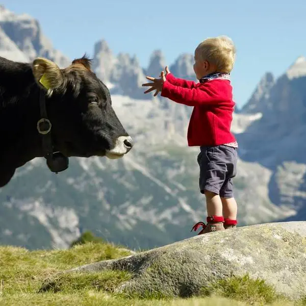 Ho un telefono cinese, ma bevo il latte trentino (che non ha prezzo). Ecco perché