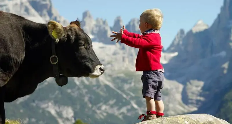 Ho un telefono cinese, ma bevo il latte trentino (che non ha prezzo). Ecco perché