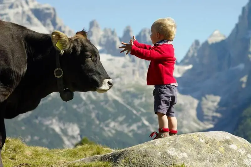 Ho un telefono cinese, ma bevo il latte trentino (che non ha prezzo). Ecco perché