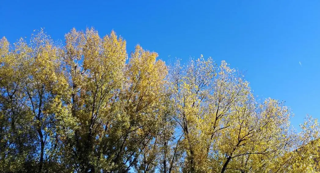 autunno