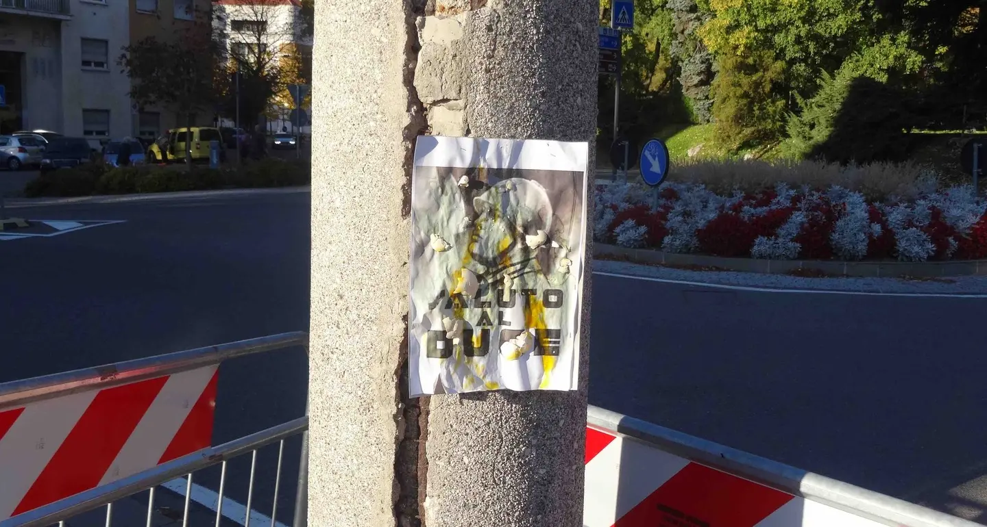 «Troppi 127 mila euro per quei piloni»
