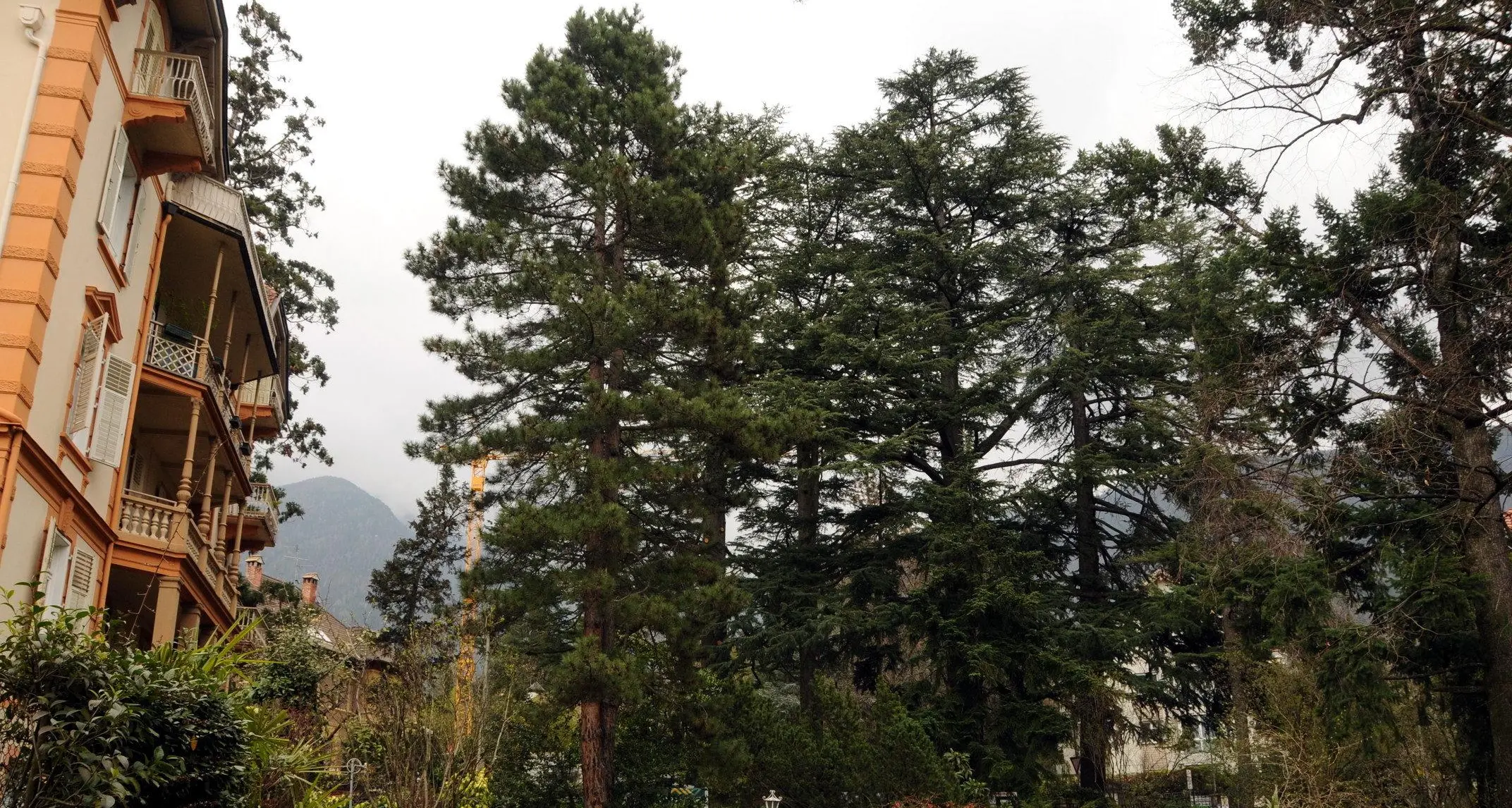 I giardini scompaiono, incentivi per salvarli