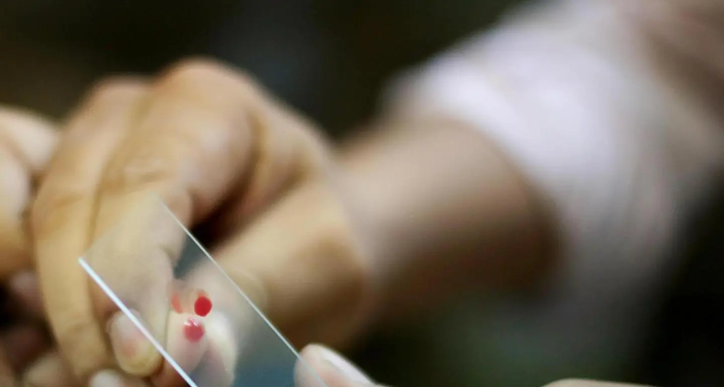 «Malaria? Contagio interno impossibile. A meno che...»