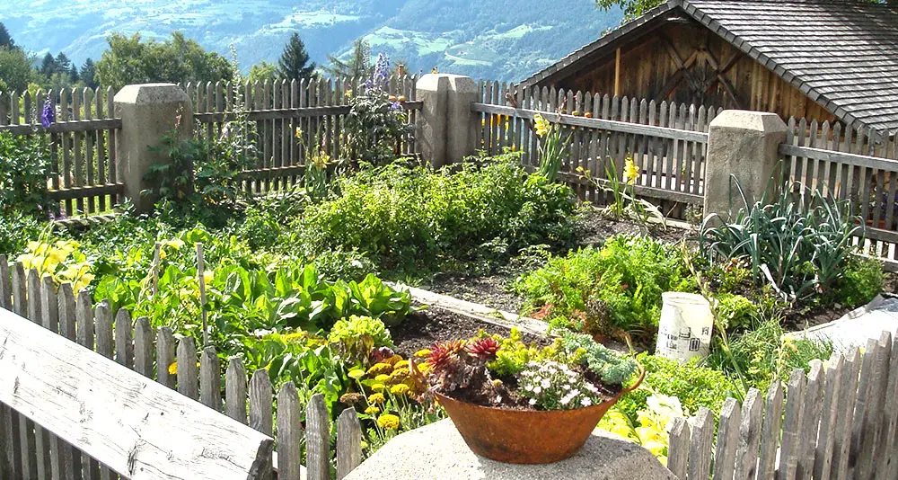 Agricoltura, in Alto Adige si punta a far crescere il bio