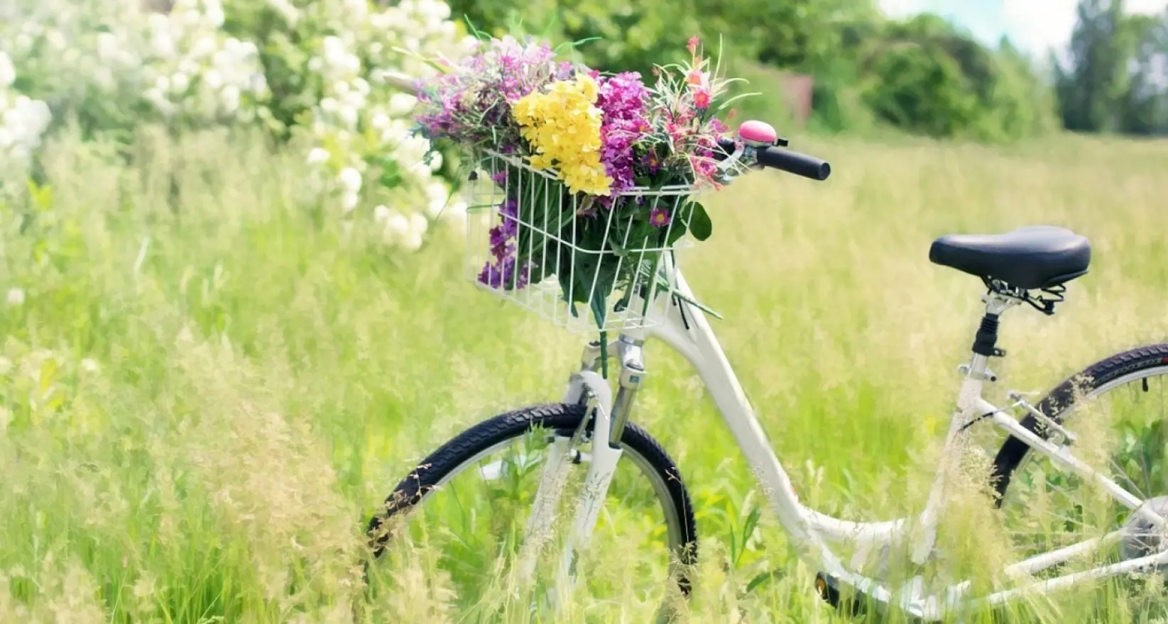 La bicicletta come strumento di libertà per le donne
