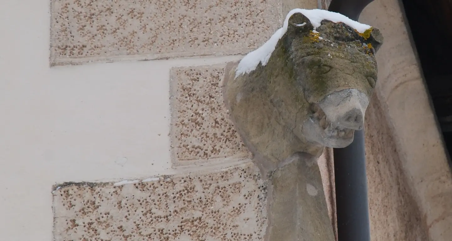 Teschi di lupo dentro il Duomo di Bressanone