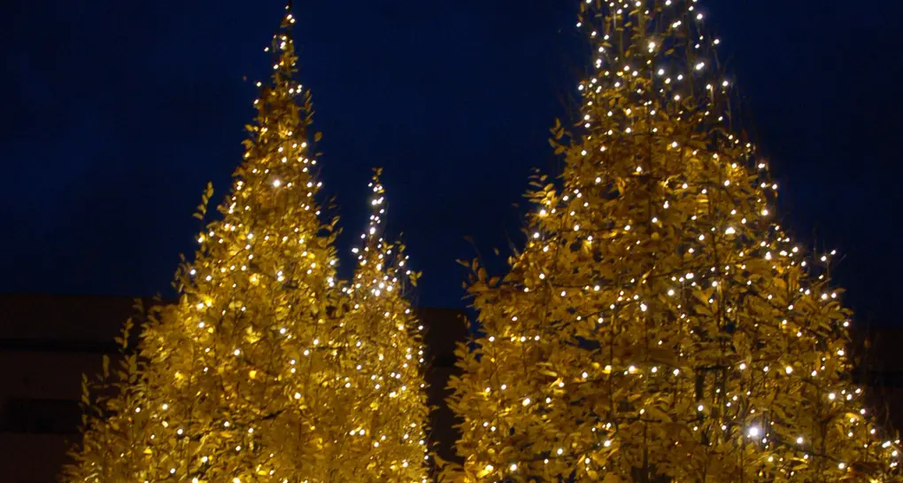 Stasera si illuminano le luci di Natale