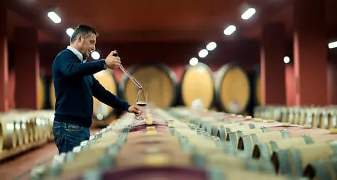 Per i vini altoatesini riconoscimenti in continua crescita