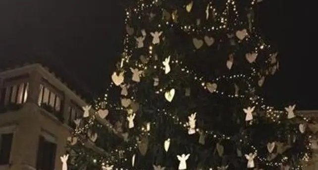 Un abete dei boschi di Brunico per il Natale a Treviso