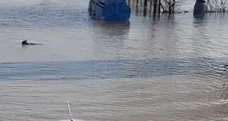 La Protezione civile altoatesina al lavoro a Brescello