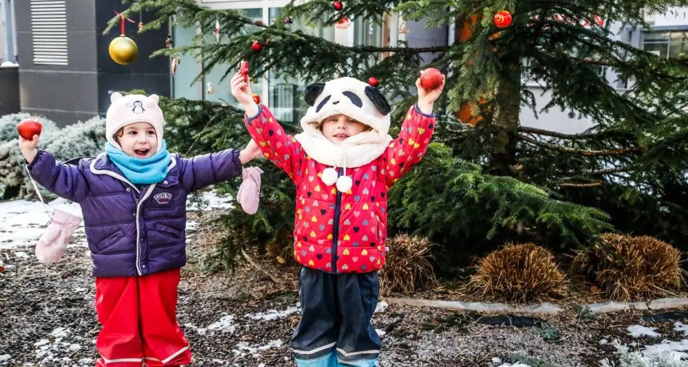 Oggi pomeriggio la festa per «Spelacchio» in piazza Ziller