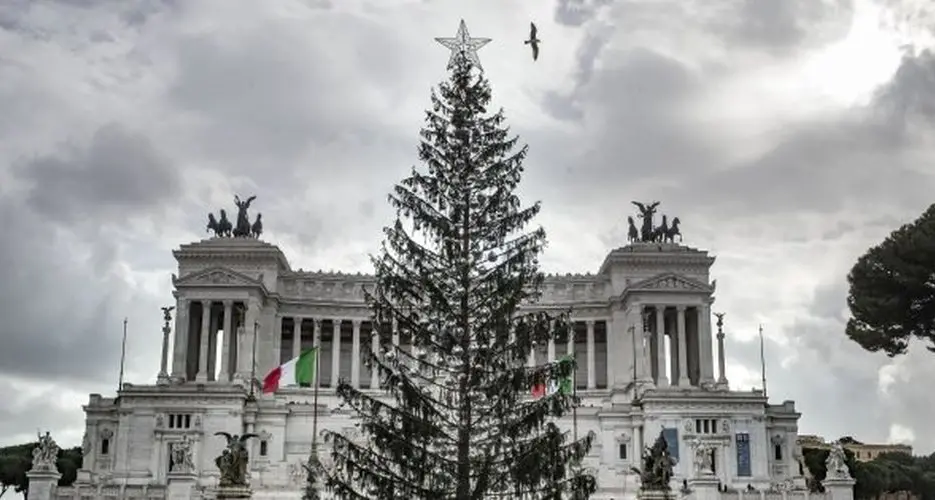 Addio allo Spelacchio della capitale: l'albero donato a Roma è \"morto\"