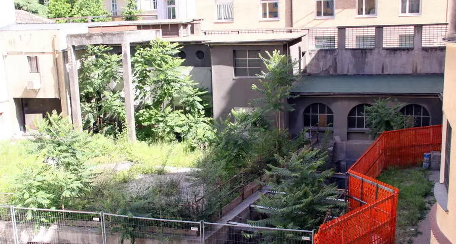 Nel cortile del Civico trovata una «testa» del Trecento