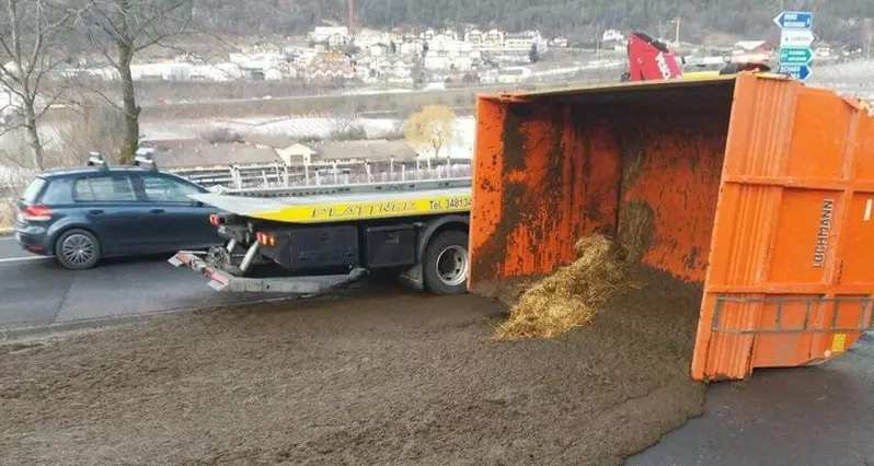 Si ribalta rimorchio con il letame