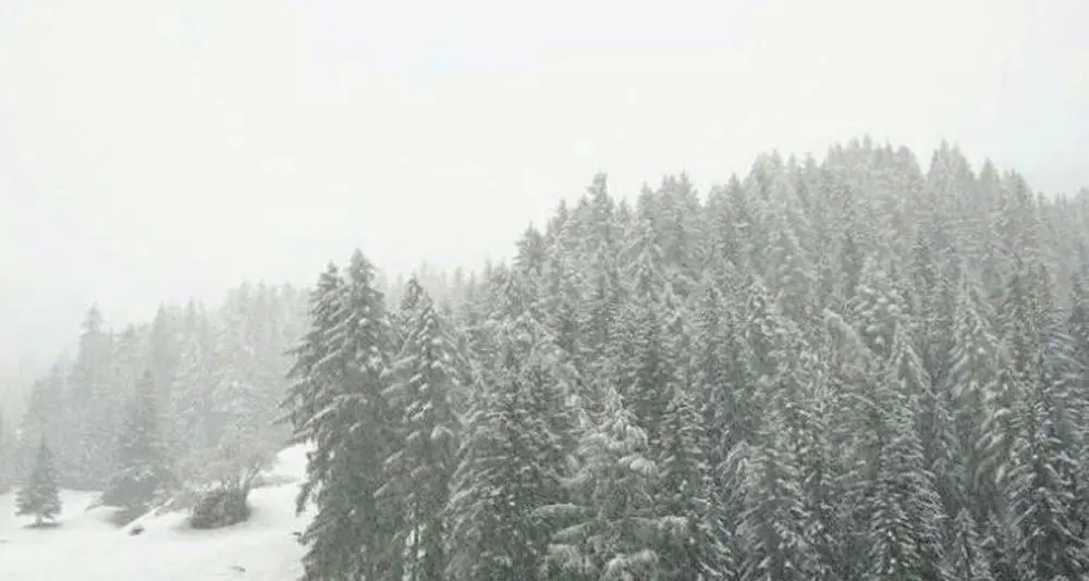 Neve in regione, fioccano le prenotazioni