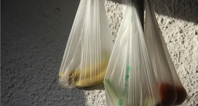 La Provincia ribadisce: i sacchetti \"bio\" non vanno nell'organico