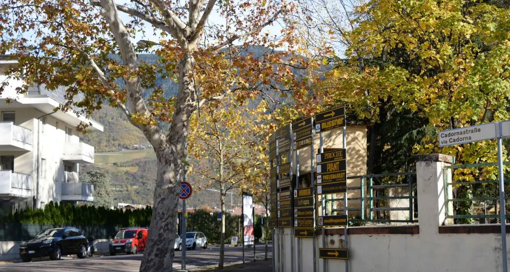 Il consiglio cancella la via intitolata a Cadorna