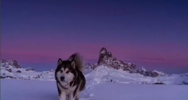 Ghiaccio e neve, la magia dell’inverno in Alto Adige