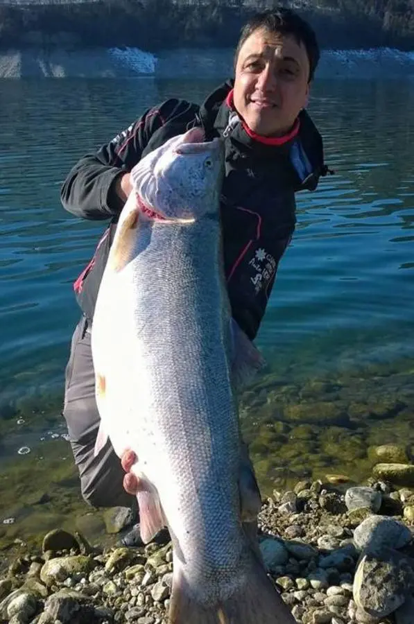Pescata una trota da record: 18 chili