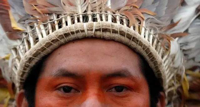 Harvard prima cattedra di storia dei nativi