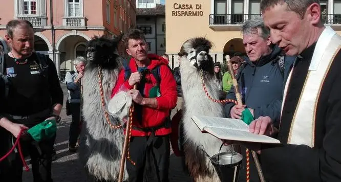 In pellegrinaggio a Roma con tre lama