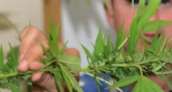 Chiede il pizzo a un negozio: arrestato