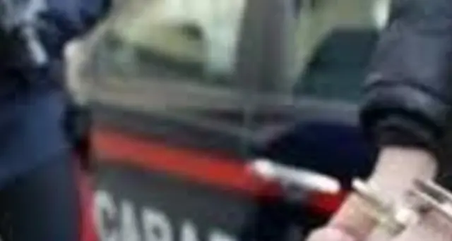 Uccide fratelli nel Modenese, fermato