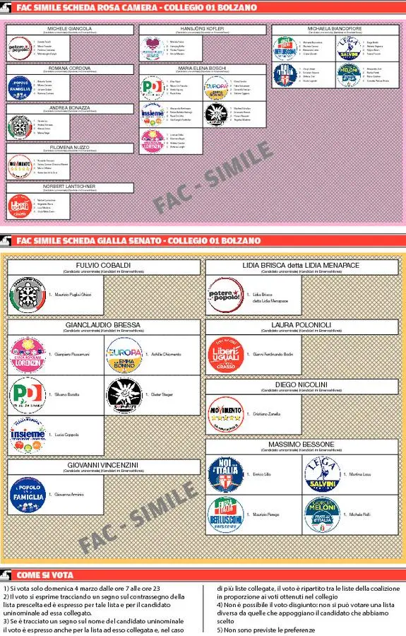Ecco come votare per la Camera e il Senato