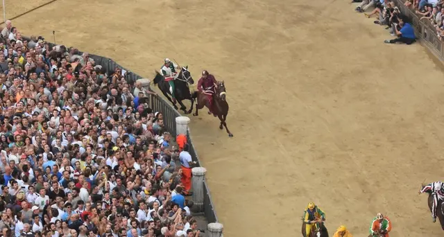 Palio:sorte bacia Lupa, Leocorno e Drago