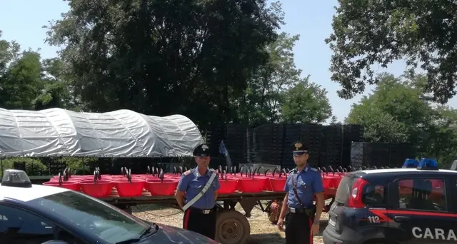 Caporalato, sei arrestati da carabinieri
